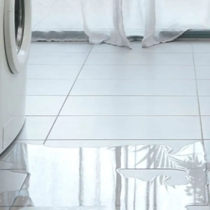 Appliance Leak Cleanup in Lake City, PA