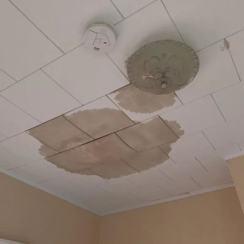 Ceiling Water Damage Repair in Lake City, PA
