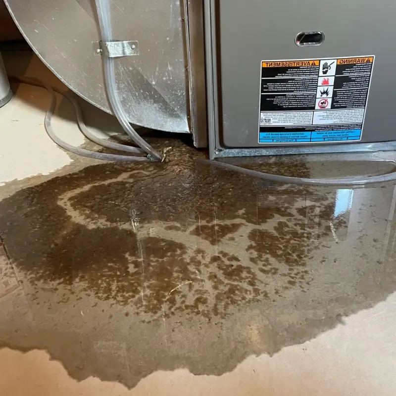 Pipe Burst and Leak Restoration in Lake City, PA