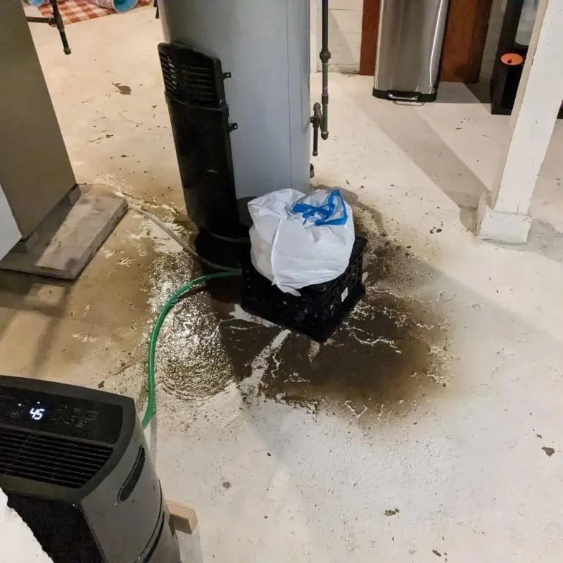 Sewage Backup Cleanup Service in Lake City, PA